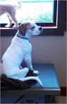daycare pic 4 - hank